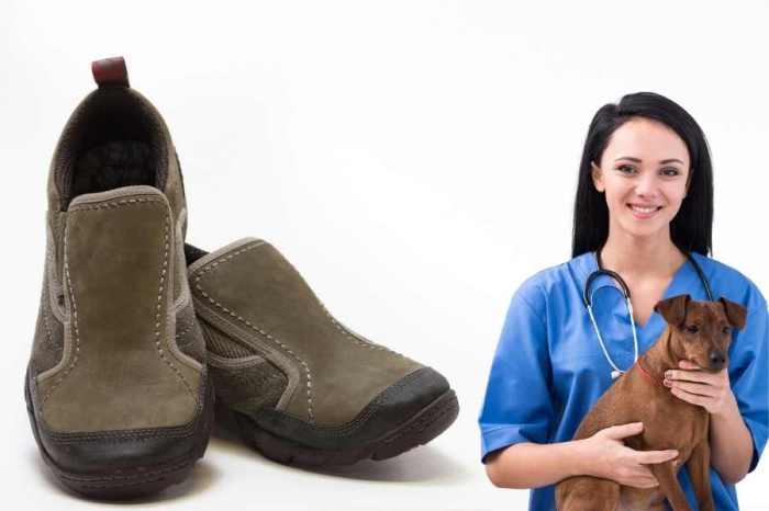 Good shoes for vet techs