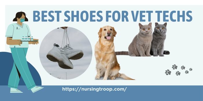 Good shoes for vet techs