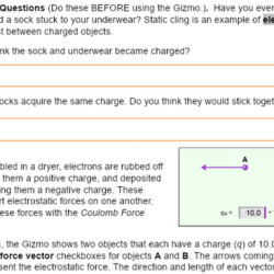 Coulomb force gizmo answer key