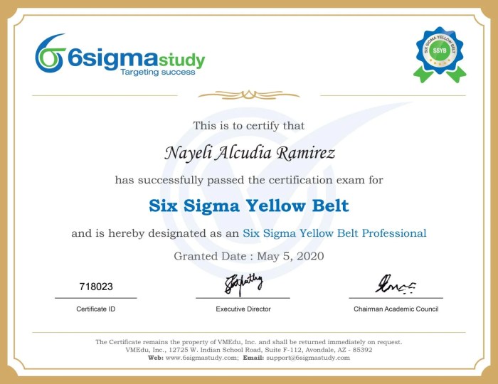 Six sigma yellow belt questions and answers