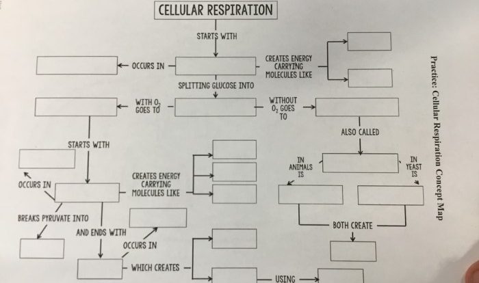 It's not rocket science 2020 heredity unit answer key