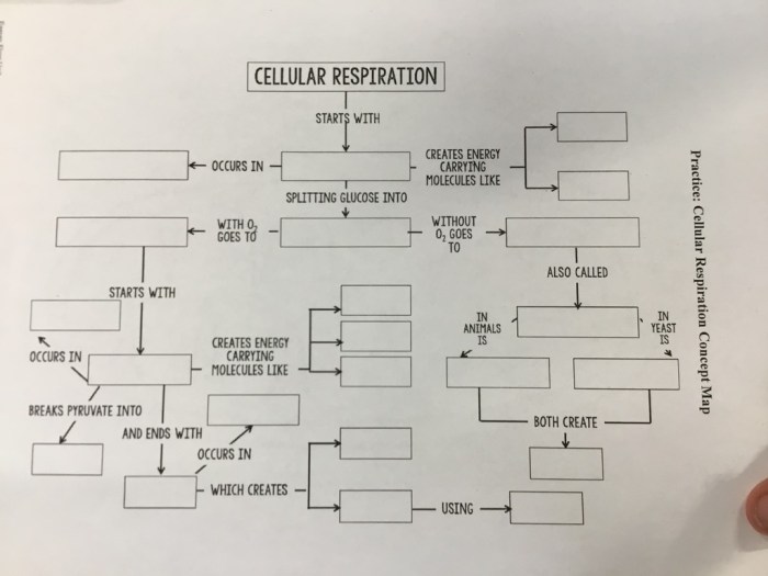 It's not rocket science 2020 heredity unit answer key